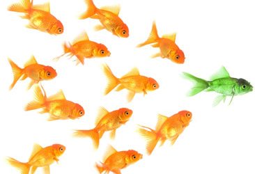 3 critical supervisory leadership tools for this century and the next!